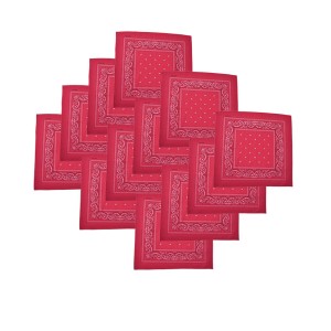 Lot de 12 bandanas identiques