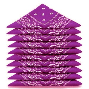 Lot de 12 bandanas identiques